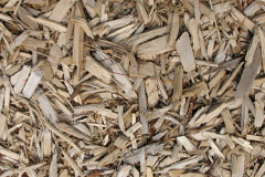 biomass boilers Coscote